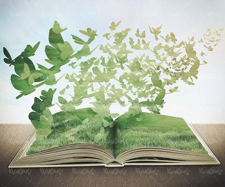 کتاب باز چمنزار طبیعت پروانه بهار