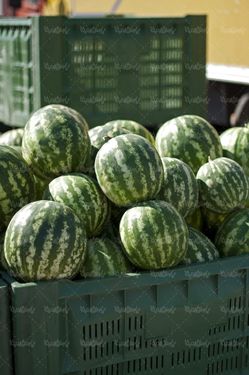 میوه فروشی هندوانه میوه تابستانی