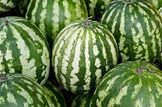 میوه فروشی هندوانه میوه تابستانی