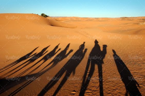 کاروان شتر کاروان تجاری قدیمی