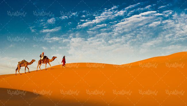 کاروان شتر کاروان تجاری قدیمی