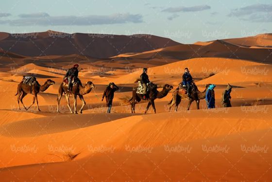 کاروان شتر کاروان تجاری قدیمی