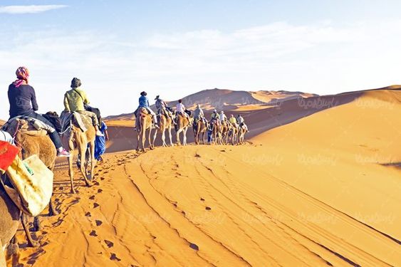 کاروان شتر کاروان تجاری قدیمی