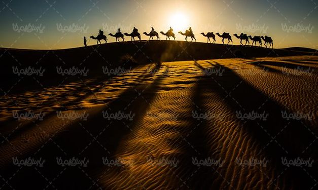کاروان شتر کاروان تجاری قدیمی