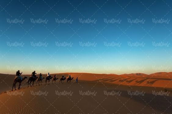 کاروان شتر کاروان تجاری قدیمی