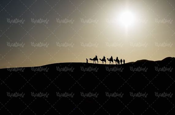 کاروان شتر کاروان تجاری قدیمی