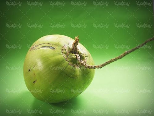 میوه نارگیل میوه استوایی