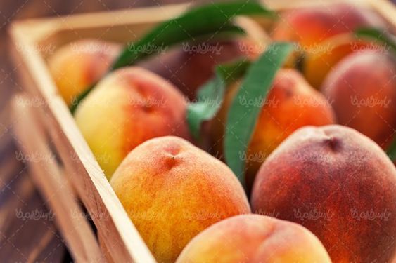 هلو میوه فروشی سوپر میوه