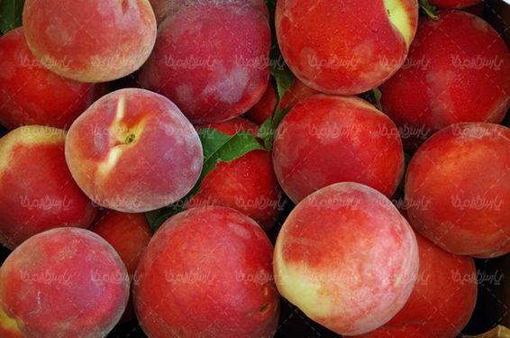 هلو میوه فروشی سوپر میوه آب میوه  طبیعی