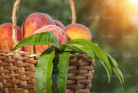 هلو میوه فروشی سوپر میوه آب میوه  طبیعی