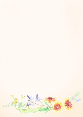 بک گراند گل  تصویر زمینه سفید و گل 2