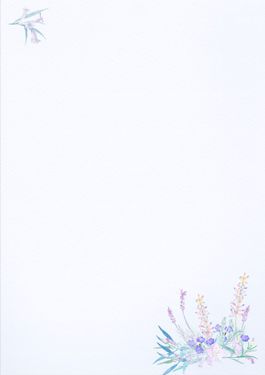 بک گراند گل  تصویر زمینه سفید و گل 3