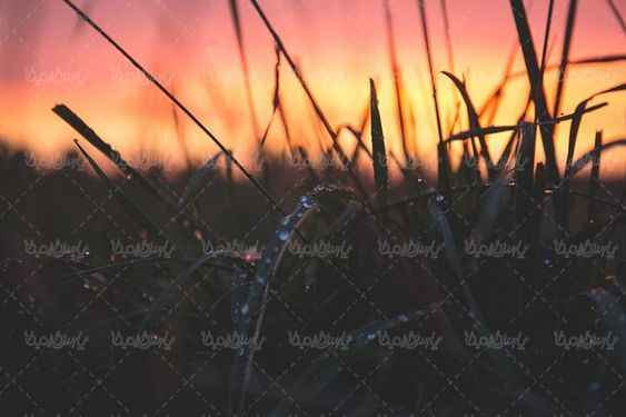قطره باران آب