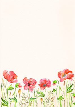 بک گراند گل  تصویر زمینه سفید و گل 17