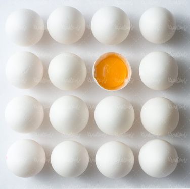 تخم مرغ  پروتئینی زرده تخم مرغ