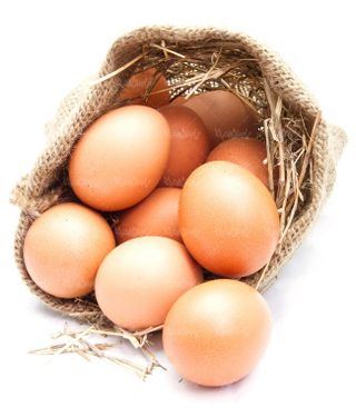 تخم مرغ محلی پروتئینی زرده تخم مرغ