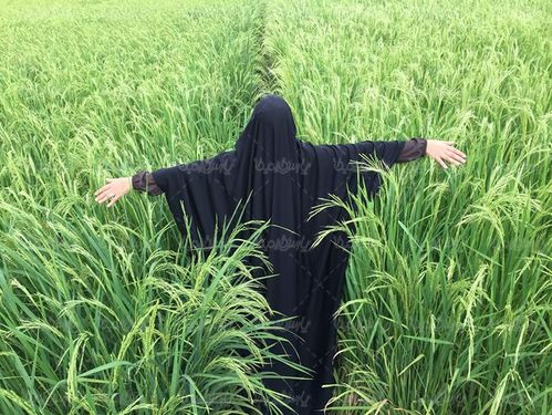 حجاب چادر عفاف  طبیعت  مزرعه