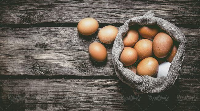 تخم مرغ محلی پروتئینی زرده تخم مرغ