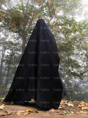 حجاب چادر عفاف  طبیعت  درخت