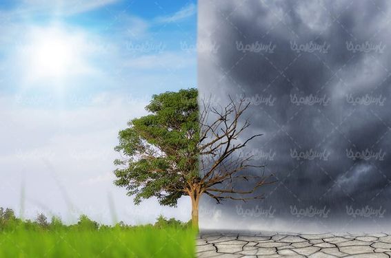 تصویر دوپهلو درخت سبز کویر زمین ترک خرده