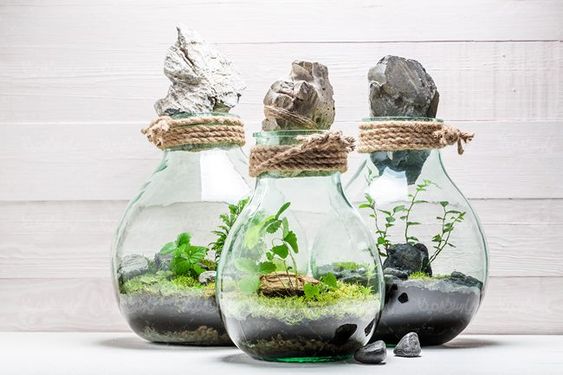 طبیعت بهاری در قاب شیشه ای