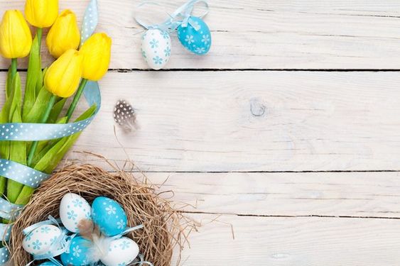 تخم مرغ رنگی  تخم مرغ عید نوروز