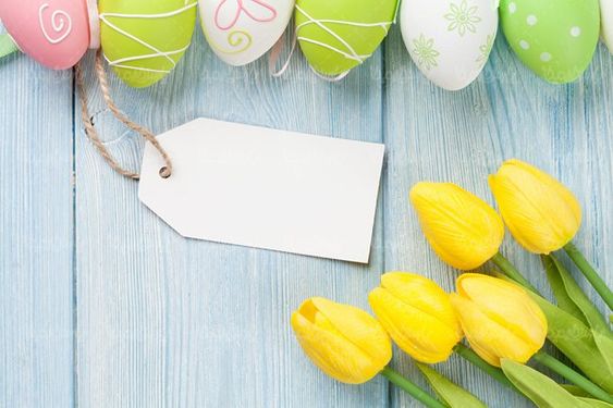 تخم مرغ رنگی  تخم مرغ عید نوروز