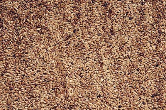 آجیل فروشی  کنجد خشکبار کنجد خام