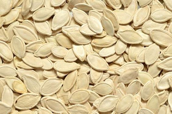 آجیل فروشی  تخمه کدو آجیل پزی