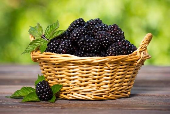 سوپر میوه میوه فروشی سبد شاه توت