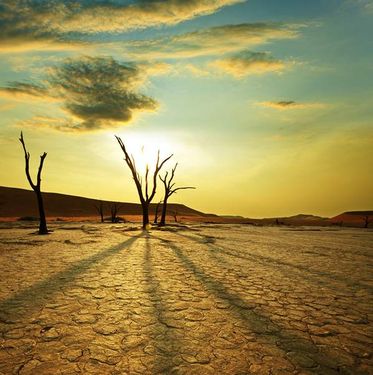 بیابان کویر منظره غروب خورشید