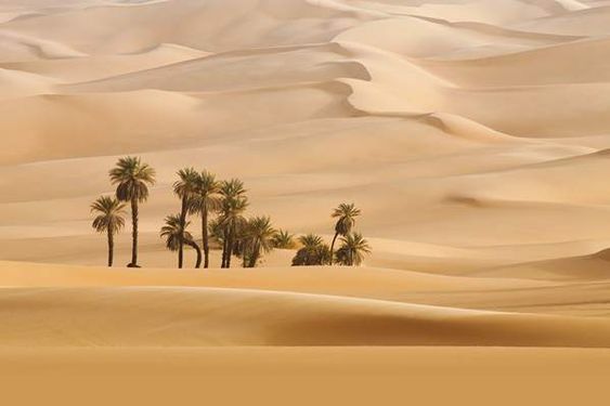 بیابان کویر شن های روان تپه های شنی