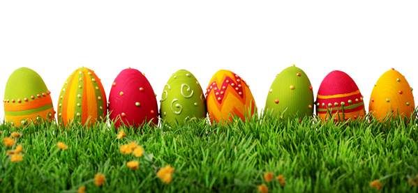 تخم مرغ رنگی تخم مرغ عید نوروز سبزه