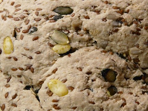 بیسکویت رژیمی بیسکویت جو