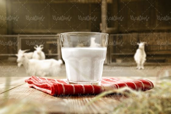 شیر فرآورده های لبنی