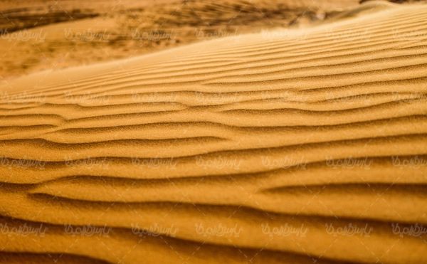 صحرا بیابان شن های روان کویر