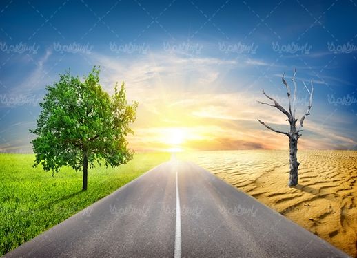 منظره دو پهلو منظره خشک چشم اندز سرسبز