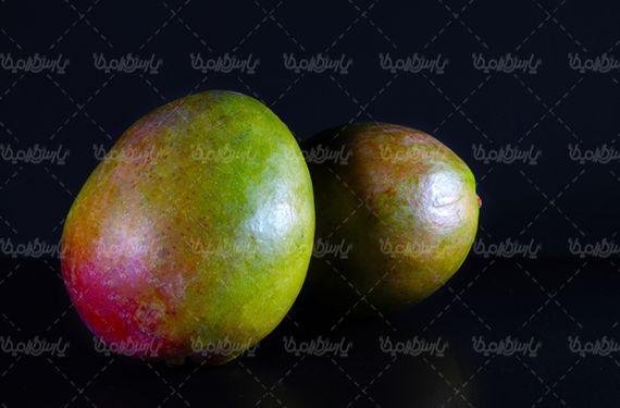 انبه میوه فروشی سوپر میوه میوه سرا