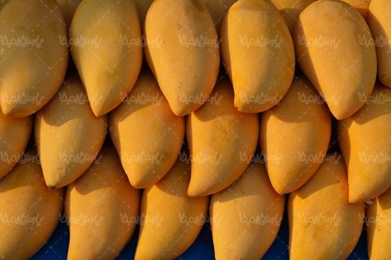 انبه میوه فروشی سوپر میوه میوه سرا