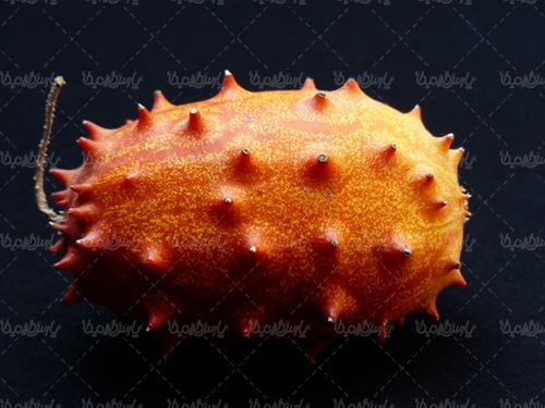 هندوانه شاخدار میوه فروشی