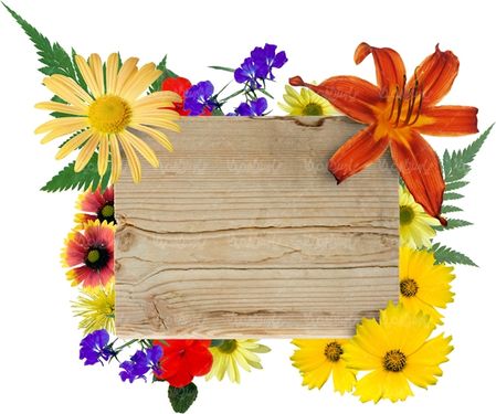 تابلو قاب عکس پلاکارد قاب چوبی