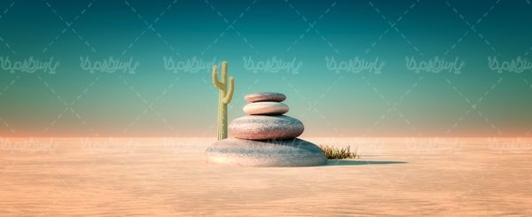 صحرا بیابان کاکاتوس کویری سنگ بودا