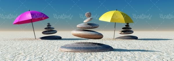 صحرا بیابان کاکاتوس کویری سنگ بودا
