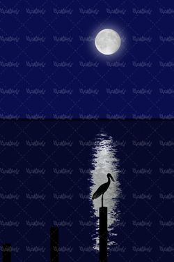 قرص ماه شب مهتاب تصویر ماه در آب