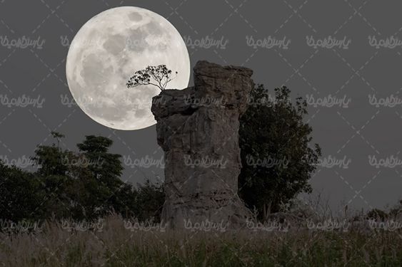 قرص ماه شب مهتاب چشم  انداز مهتابی