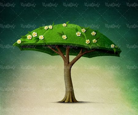 درخت چتری درخت سرسبز درخت بهاری