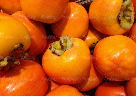 خرمالو میوه فروشی درخت خرمالو