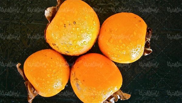 خرمالو میوه فروشی درخت خرمالو