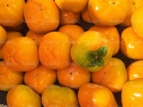 خرمالو میوه فروشی درخت خرمالو