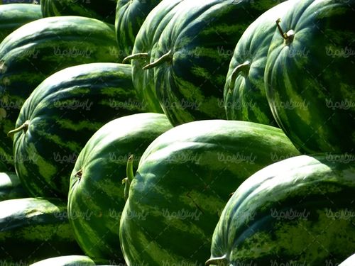 هندوانه میوه فروشی میوه تابستانی
